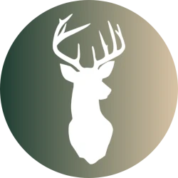 Foresta Mazamitla